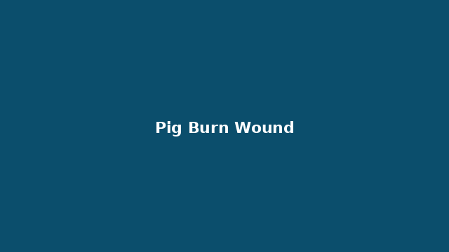 Pig burn wound microbiome project thumbnail